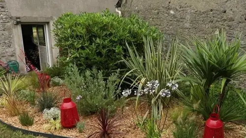 Silence, ça pousse !