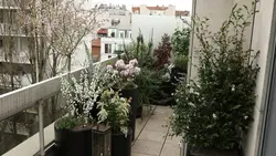 Silence, ça pousse !