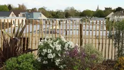 Silence, ça pousse !