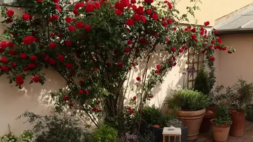 Silence, ça pousse !