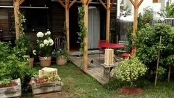 Silence, ça pousse !