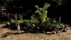 Silence, ça pousse !