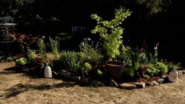 Silence, ça pousse !