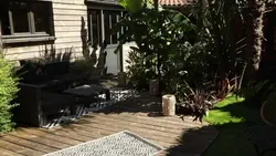 Silence, ça pousse !