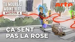 Sniff doogy dog | Tu mourras moins bête | ARTE