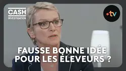 Sodiaal : la coopérative laitière censée être proche de ses éleveurs - Cash investigation