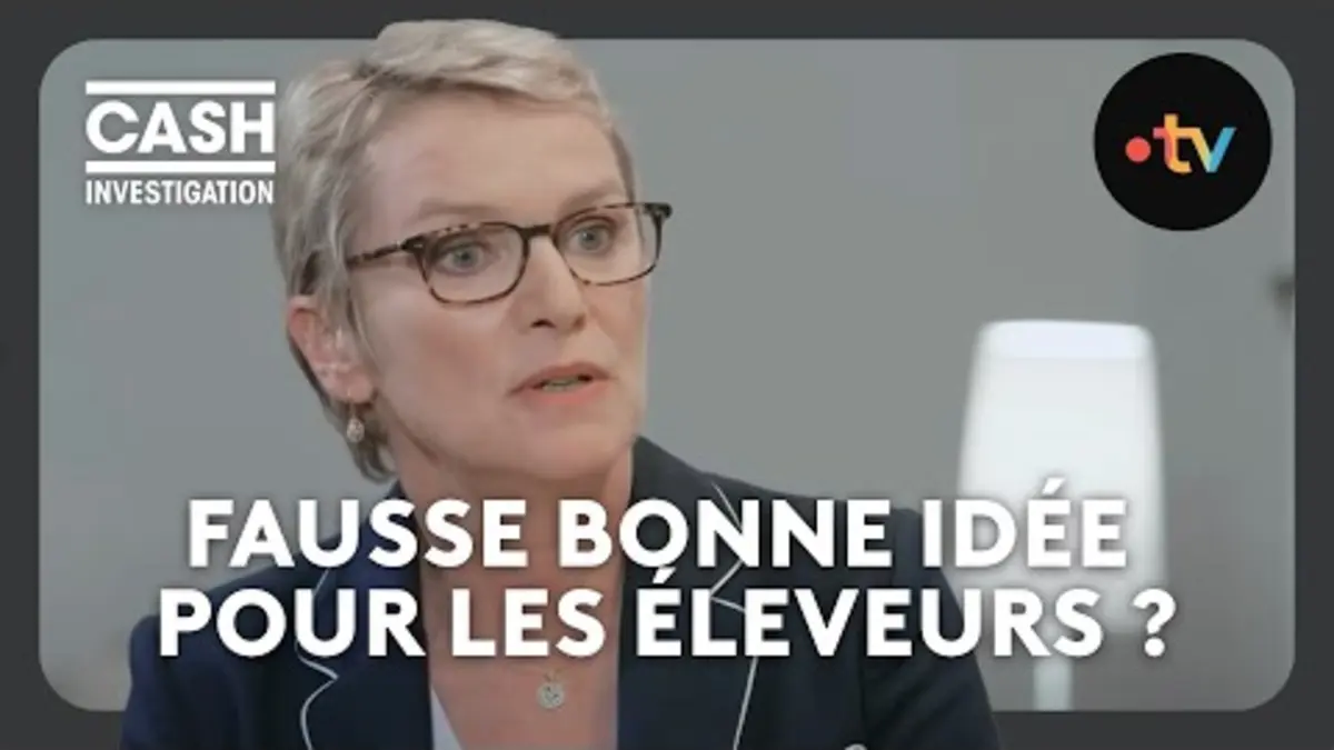 replay de Sodiaal : la coopérative laitière censée être proche de ses éleveurs - Cash investigation