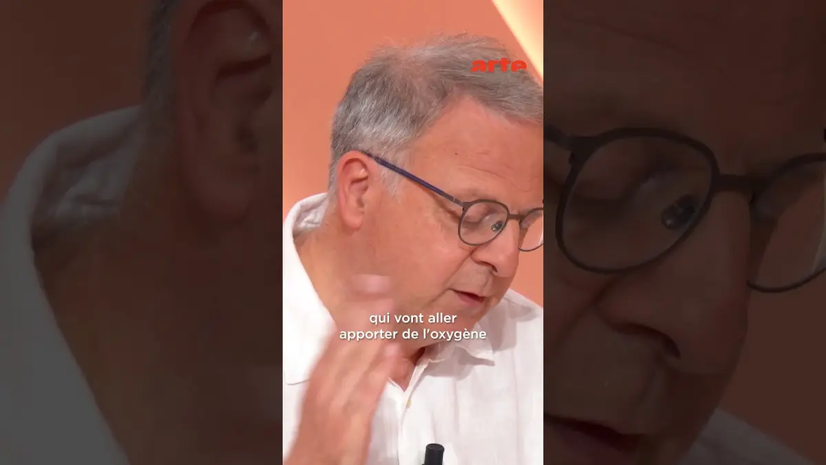 Soigner grâce aux vers de vase