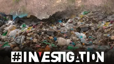 Sous les bosquets, la crasse