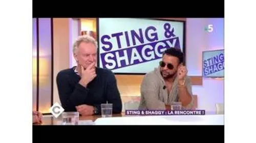 replay de Sting & Shaggy : la rencontre ! - C à Vous - 24/04/2018
