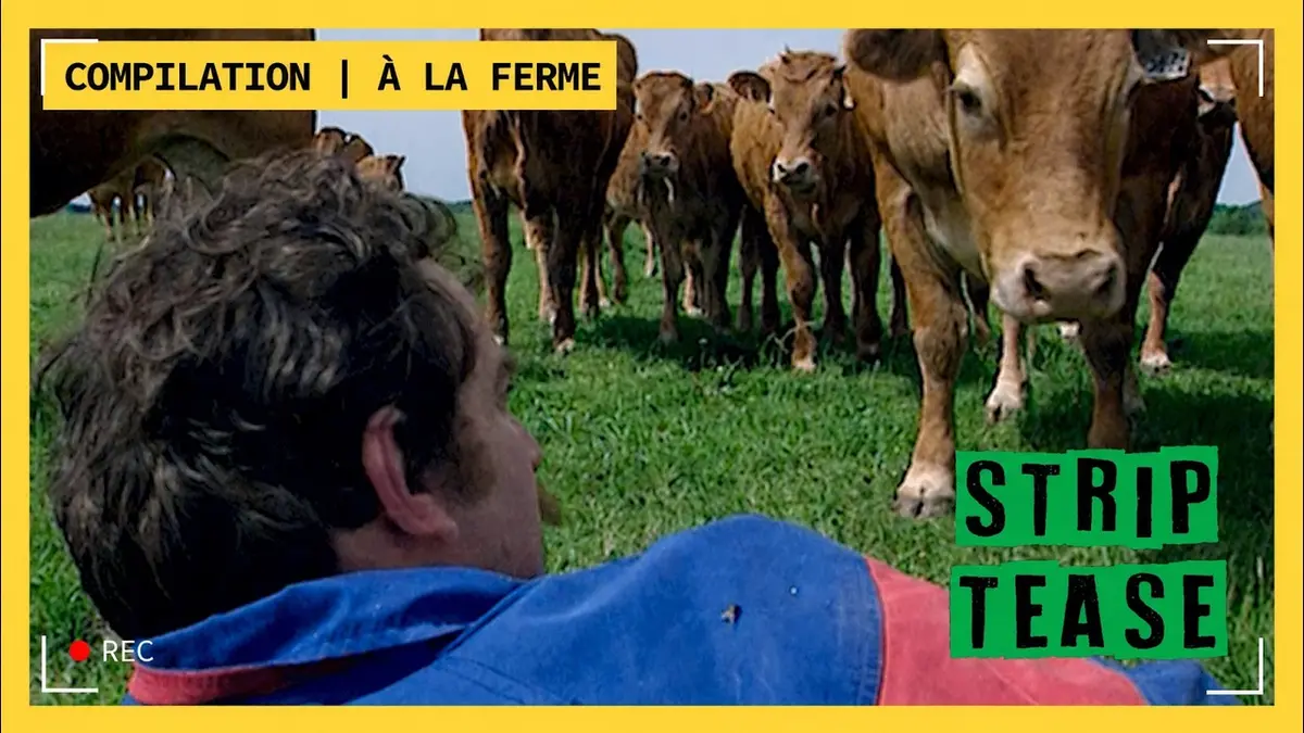 STRIP TEASE I Compilation - À la ferme