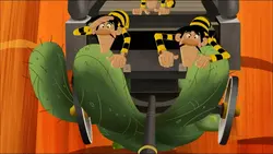 Sur un cactus perché