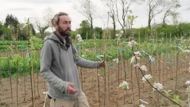 Sylvain Huchette, Maël Kervennal