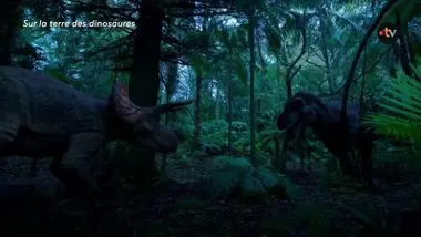 T-Rex VS Tricératops qui sortira vainqueur ?
