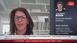 Table ronde : comment lutter contre l'illectronisme ? - Les matins du Sénat (09/06/2020)