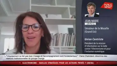 Table ronde : comment lutter contre l'illectronisme ? - Les matins du Sénat (09/06/2020)