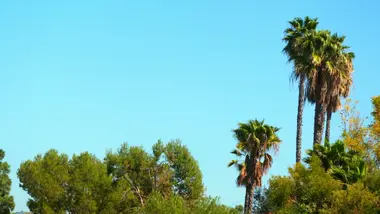 Tarek : le roi de la réno : S2 E4 - De l'électricité dans l'air