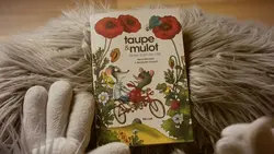 Taupe et Mulot La baignade