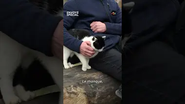 🔴 Témoignage inédit : un déserteur ukrainien dénonce le manque d’équipement