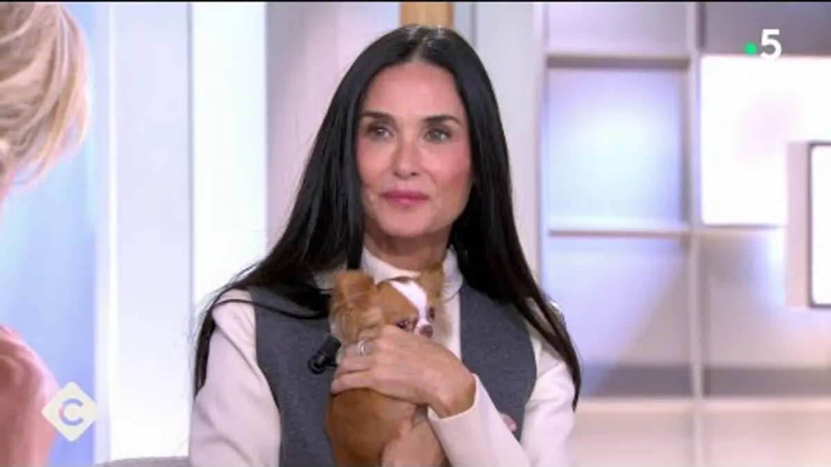 replay de The Substance : le film choc avec Demi Moore - C à Vous - 05/11/2024