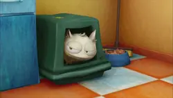 Toilettes de chat
