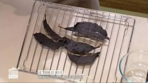 replay de Toque show : Comment bien déshydrater la banane ?