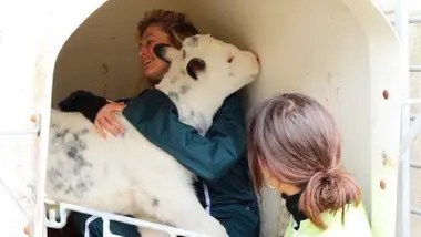 Tourner avec des animaux, c'est comment ?