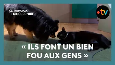 Tout pour leur animal ! - Ça commence aujourd'hui