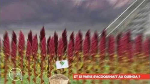 replay de Très très bon : Le meilleur de Très Très Bon - Thème Amérique du Sud
