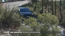 Turbo : Dans le Nord : au cœur de la passion automobile