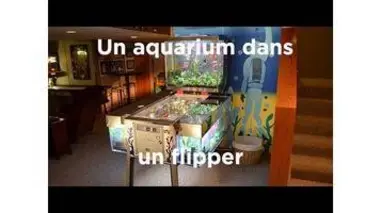 Un aquarium dans un flipper : Aquamen