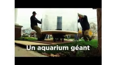 Un aquarium géant : Aquamen