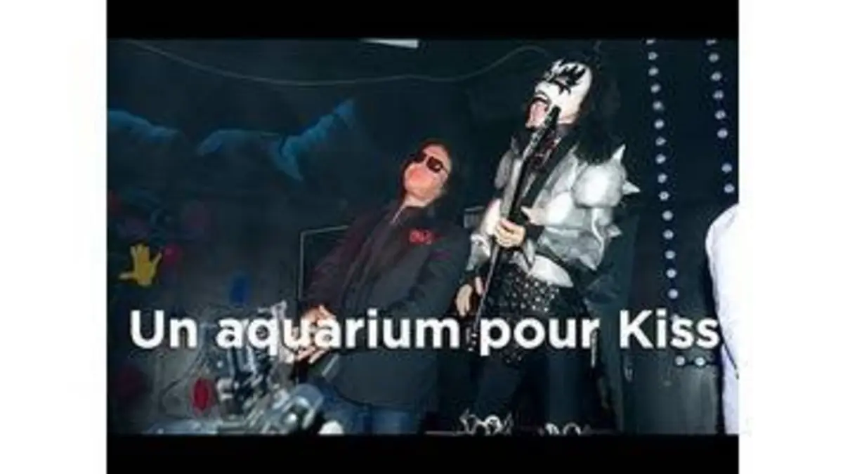 replay de Un aquarium pour Kiss : Aquamen