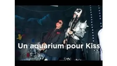Un aquarium pour Kiss : Aquamen