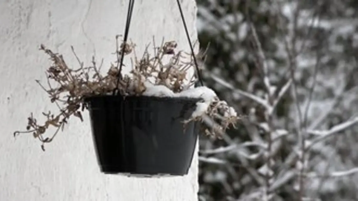 Un autre chemin - La résilience québécoise