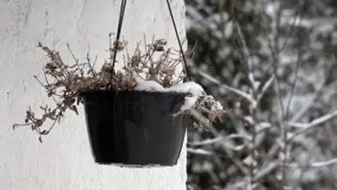 Un autre chemin - La résilience québécoise