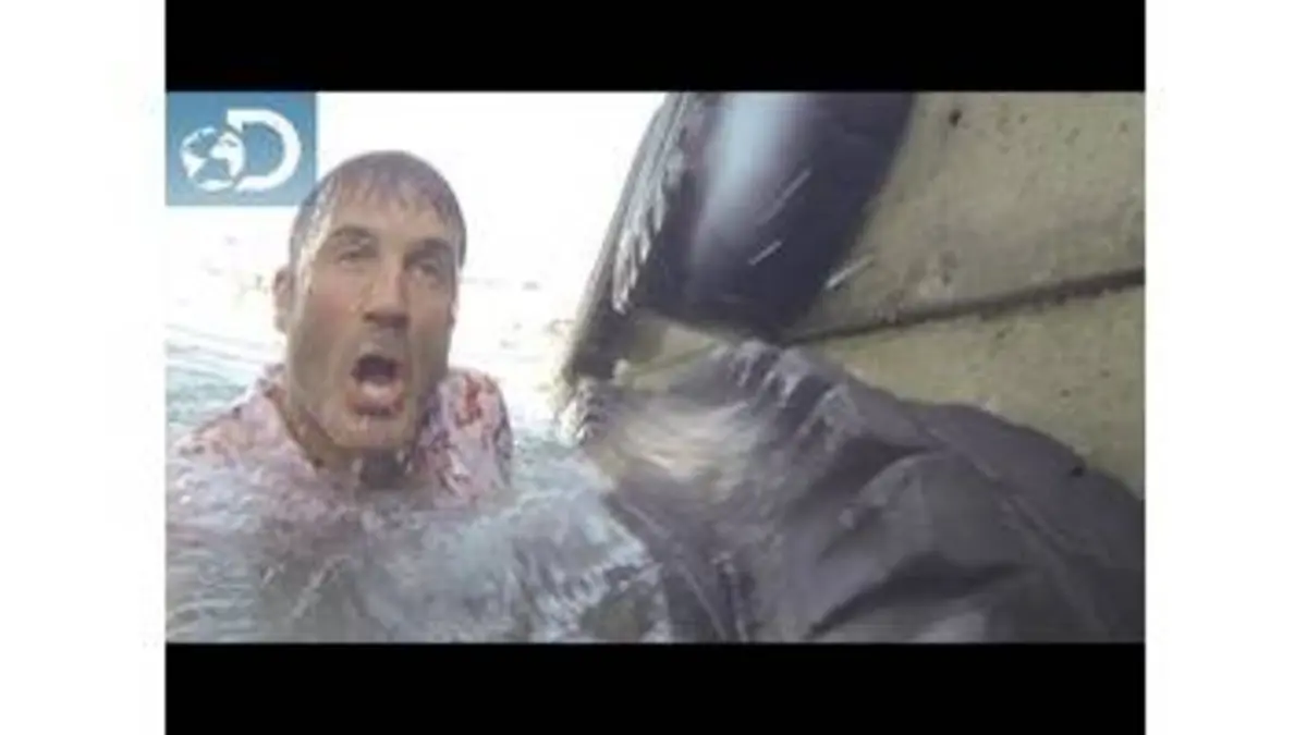 replay de Un boulot de rêve : Lone Target