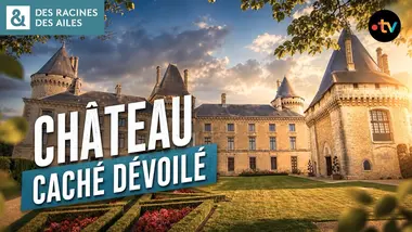 Un château historique caché au public enfin dévoilé ! | Documentaire | France TV