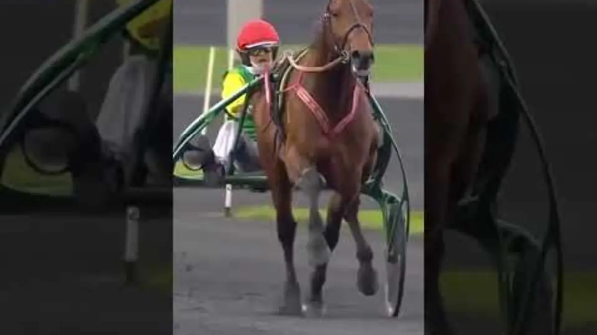 replay de UN CHEVAL EXCEPTIONNEL : DAVIDSON DU PONT ❤️??