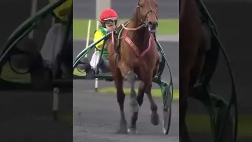 replay de UN CHEVAL EXCEPTIONNEL : DAVIDSON DU PONT ❤️??