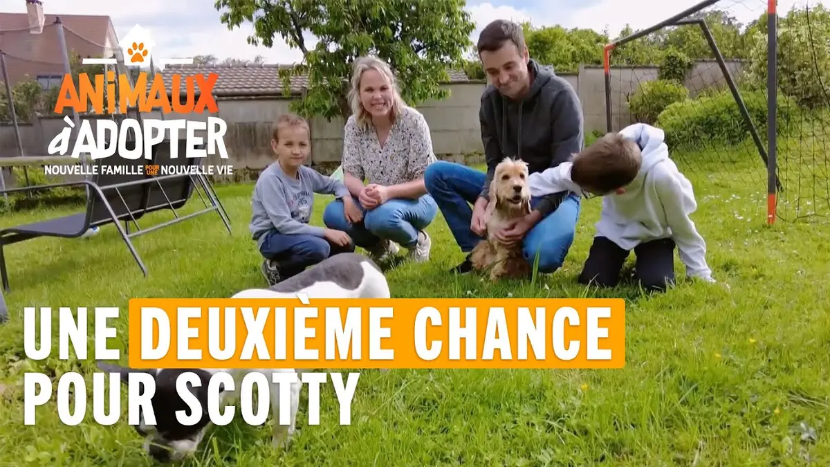 replay de Un cocker à 3 pattes qui a eu droit à une deuxième chance