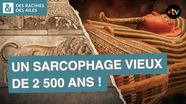 Un coffret funéraire retrouvé en Égypte ! | Documentaire | France TV