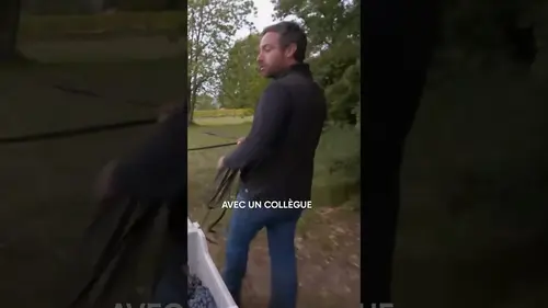 replay de Un collègue de travail pas comme les autres ! #voyage #histoire #documentaire