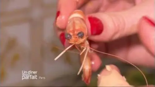replay de Un dîner presque parfait : Capucine : "La crevette a un regard mauvais !"