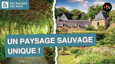 Un jardin secret parmi les plus beaux du monde ! | Documentaire | France TV