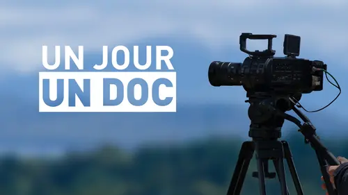 Un jour, un doc S04E138