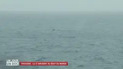 Un jour, un doc : Croisière : ils s’amusent au bout du monde