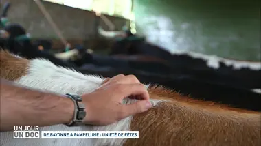 Un jour, un doc : De Bayonne à Pampelune : un été de fêtes