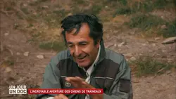 Un jour, un doc : L'incroyable aventure des chiens de traîneaux