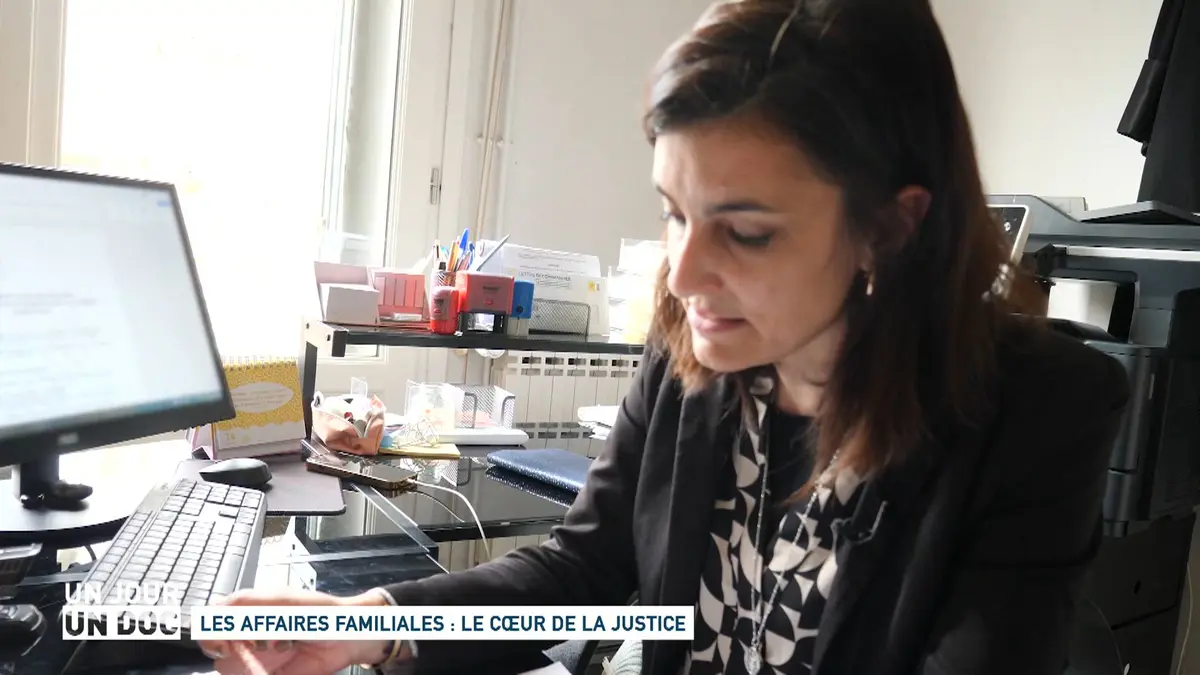 Un jour, un doc : Les affaires familiales : le…